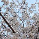 황룡어린이공원 이미지