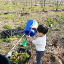 태환농장 이미지