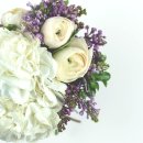 (주)핸드스튜디오 이미지