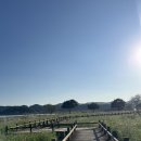 식영정 | 목포 무안 놀거리 명소, 가볼만한 곳 | 식영정 몽탄 코스모스 축제 정보, 개화 상황, 주차, 포토존