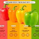 귤먹어라