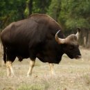 온바로한의원 이미지