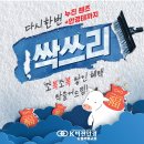 오룡안경 이미지