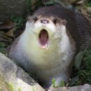 아이마트 이미지