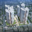 강릉 더퍼스트 이미지