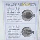 부산횟집 - 중구 중앙시장길 25 | [시장횟집] 부산 포장 횟집 2만원대로 푸짐하게! 부산 가성비 횟집 후기