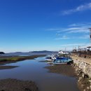 선두5리항 이미지