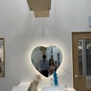 냥냥이 캔따개 이미지