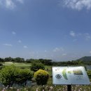 핀크스 골프클럽 | 나의 첫 제주도 라운딩⛳️ 제주 핀크스