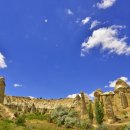 화이트벨리 이미지