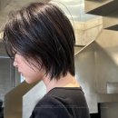 탄헤어스튜디오 - 마포구 동교로41길 3 | 탄헤어스튜디오