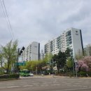 14단지횡단보도 이미지