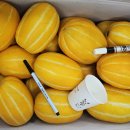 보내농장 이미지