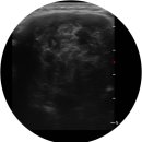 아산동물의료센터 이미지