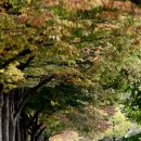 미사경정공원 이미지