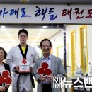 용인대 국가대표 해들 태권도 이미지