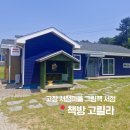 고창 서점마을 모두의 그림책 서점 <책방 고릴라> 방문후기