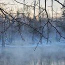 산속에아침 이미지