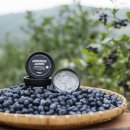 샘코스메틱 이미지