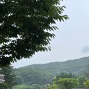 금곡작은도서관 이미지