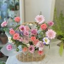 마음편한약국 이미지