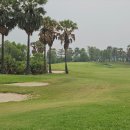 사파이어 골프 이미지