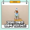 강아지 맨투맨 - 댕플룩 하기 좋은 하이위드 기모티셔츠