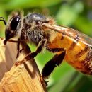 최병진한의원 이미지