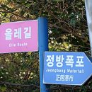 진왕고려진주초 | 친구들과 함께하는 국토순례 - 제주 정방폭포