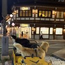 톡톡월드펜션 이미지