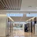 성모녹십자 | 은평성모병원 산부인과 임신 10~14주 기형아검사, 니프티검사 후기, 니프티 재검사