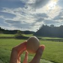 음성 힐데스하임CC 이미지