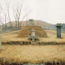 조서강묘 이미지