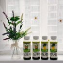 매일 아침, 상쾌하게 시작하는 방법 🍋 풀무원녹즙 데일리클렌즈 레몬&amp;케일 후기 + 청귤&amp;미나리까지!