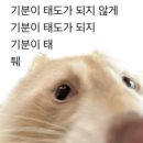 5 // 귤꽃이 피는 계절