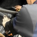 현대마스타정비공업사 이미지