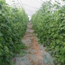 부광농장 이미지