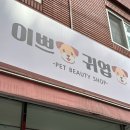 개이쁘개 이미지
