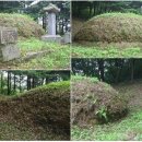 낙선군 묘 이미지