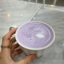 [평택카페] 스위트1981 수제케이크맛집