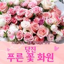 푸른꽃화원 - 부여군 정림로 53 | 푸른꽃화원