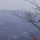 심곡리 Daum카페