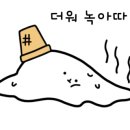 셀세모용인