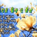 꽃피는봄날 - 유성구 수통골로 49 | 꽃피는봄날