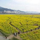 대저생태공원 이미지