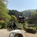 오늘도가평키즈풀빌라 | [가평] 3개월 아기랑 가평 1박2일 숙박 &lt;오늘도 가평 키즈풀빌라&gt; 내돈내산 후기