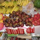 남호민박 이미지