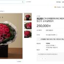 위자드오브오즈