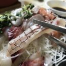 중도매인35호 | 노량진수산시장모듬회 대원수산에서 즐겨본 후기