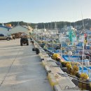 거진8리(터미널) 이미지